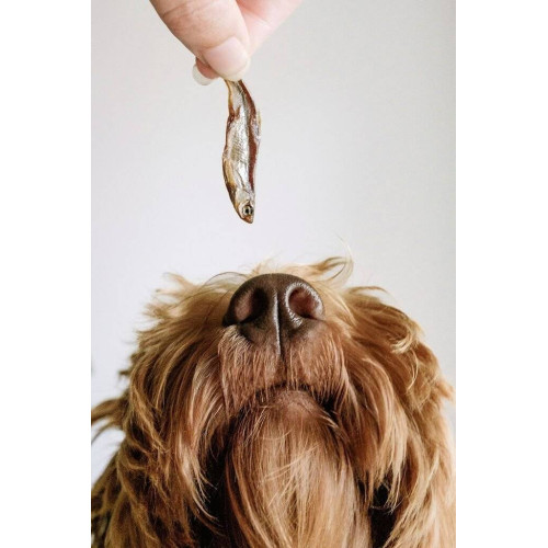 Натуральные сушеные лакомства для собак Cooka's Cookies Gone Fishing 100% рыба 90 г