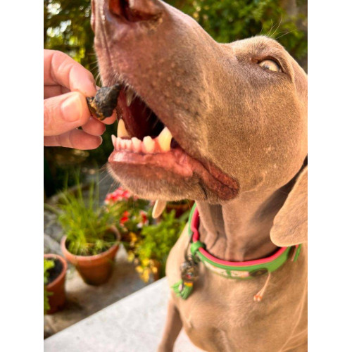 Натуральные сушеные лакомства для собак Cooka's Cookies Куриные сердечки 70 г