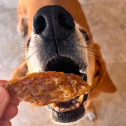 Натуральные лакомства для собак Cooka's Cookies Turkey Crispies 100% Сушеная индейка 95 г - фото 3