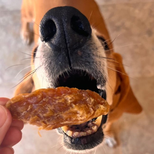 Натуральные лакомства для собак Cooka's Cookies Turkey Crispies 100% Сушеная индейка 95 г