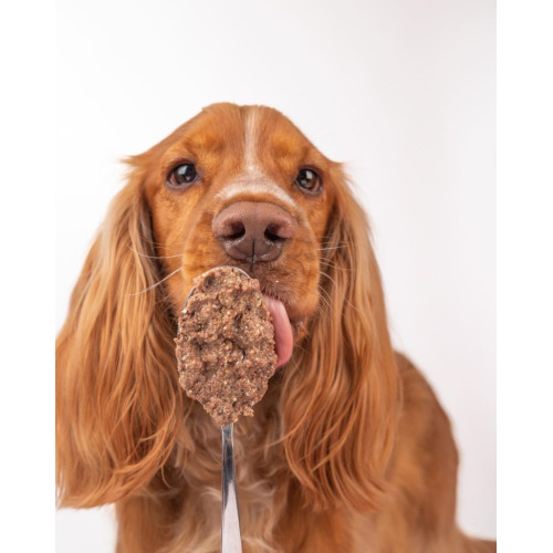 Натуральний вологий корм для собак Cooka's Cookies 91% Качка з гарбузом та бататом 400 г