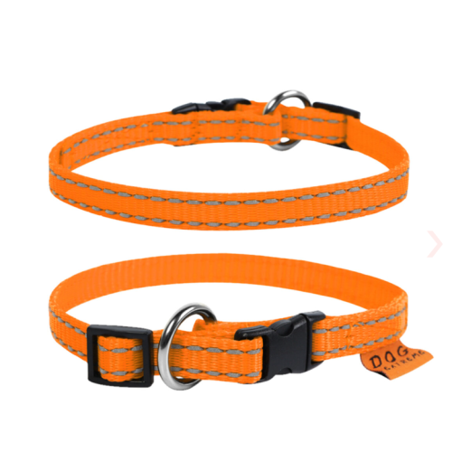 Нашийник для собак Dog Extreme нейлоновий регульований помаранчевий