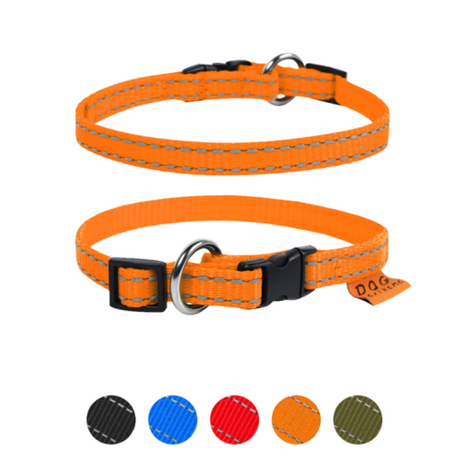 Нашийник для собак Dog Extreme нейлоновий регульований помаранчевий