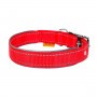 Ошейник для собак нейлоновый двойной Dog Extremе со светоотражающей вставкой красного цвета