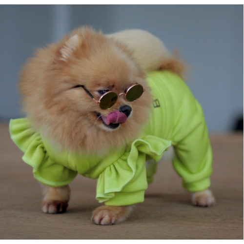 Теплий костюм з тринитки з рюшами для собак Dogs Bomba D-166