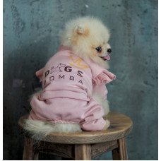 Костюм для собак Dogs Bomba D-167