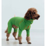 Костюм Марсель зеленый для собак Dogs Bomba D-186