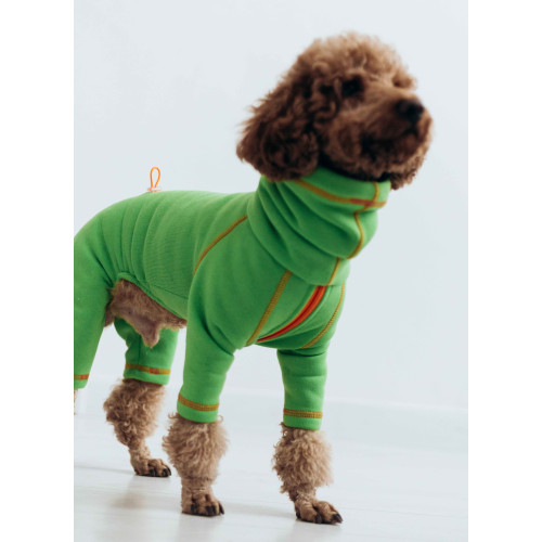 Костюм Марсель зеленый для собак Dogs Bomba D-186