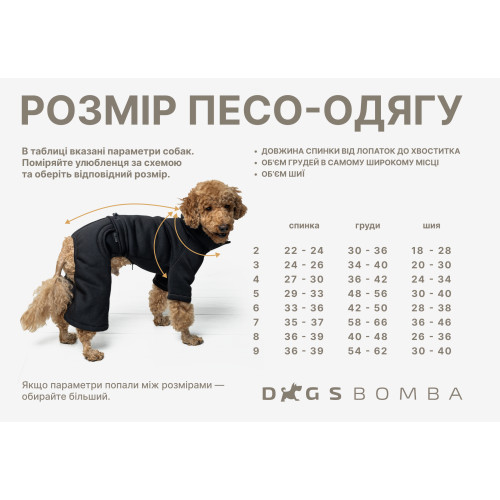 Спортивний костюм для собак Dogs Bomba D-217
