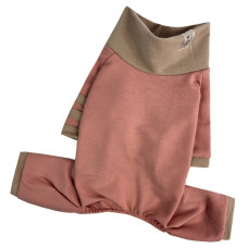 Спортивний костюм для собак Dogs Bomba D-218