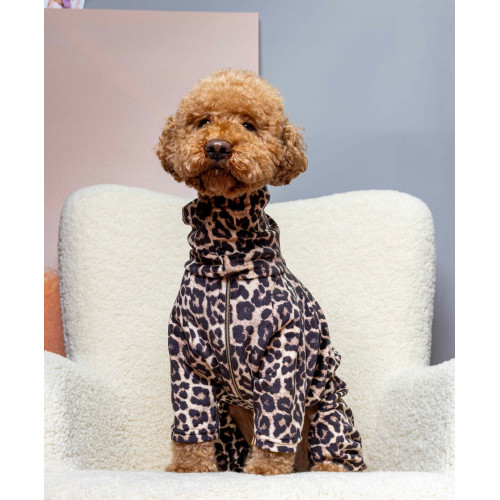 Костюм велюровый Лео карамель для собак Dogs Bomba D-245