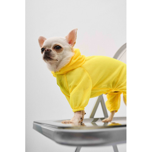 Костюм сетчатый жёлтый для собак Dogs Bomba D-249