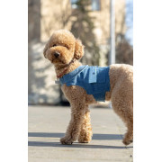 Джинсовая шлея для собак Dogs Bomba E-2 в полоску - фото 1