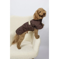 Жилет для собак стьобаний двосторонній капучино G-120