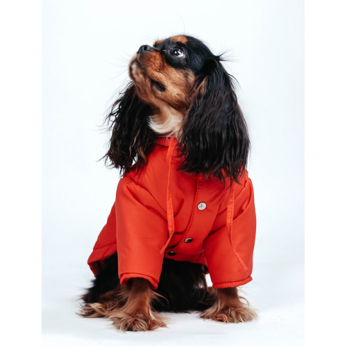 Парка Denim коралова для собак Dogs Bomba KP-18