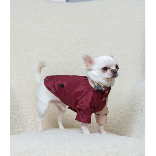 Дождевик-трансформер 3в1 марсала беж для собак Dogs Bomba M-148