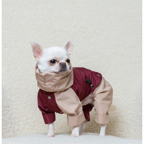 Дождевик-трансформер 3в1 марсала беж для собак Dogs Bomba M-148