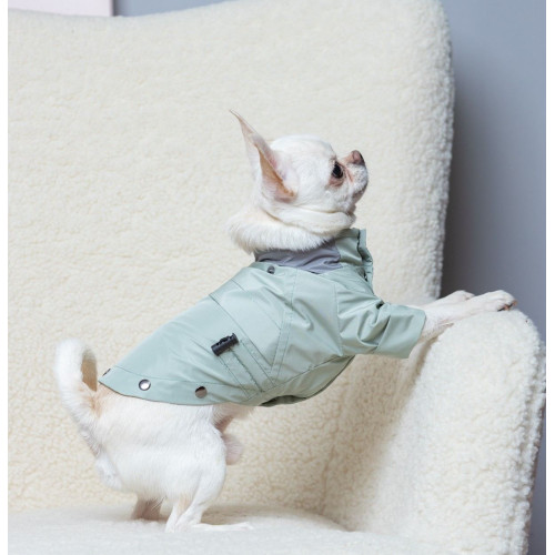 Дождевик-трансформер мята серый для собак Dogs Bomba M-149