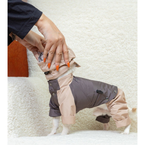 Дождевик-трансформер 3в1 шоколадно-бежевый для собак Dogs Bomba M-150