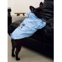 Дощовик парка DB сіро-блакитний для собак Dogs Bomba M-75