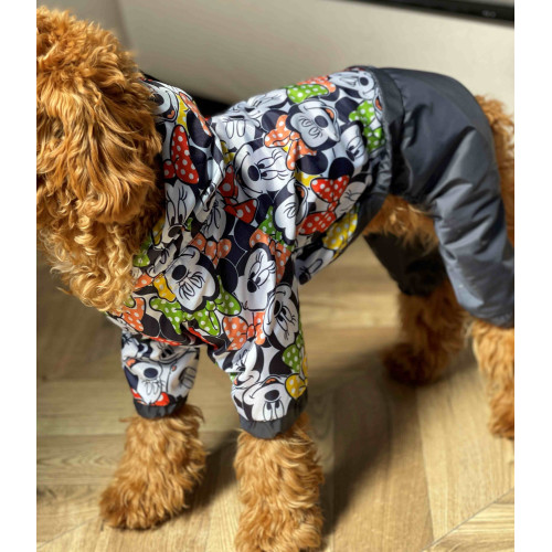 Дощовик з принтом Міккі для собак Dogs Bomba M-89