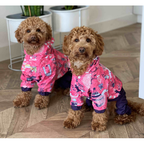 Дождевик Париж с принтом для собак Dogs Bomba M-91