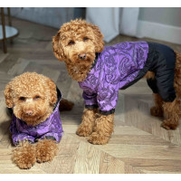 Дощовик з візерунками бузковий для собак Dogs Bomba M-92