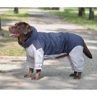 Дощовик для великих собак синій з сірим MB-2