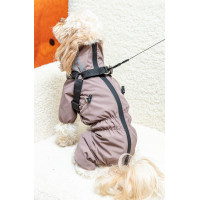 Дощовик зі шлеєю капучино для собак Dogs Bomba MS-14