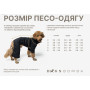 Вышиванка с кисточками бежевая для собак Dogs Bomba RUB-48