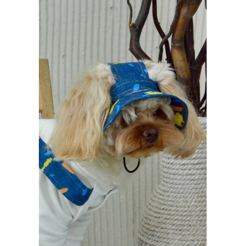 Панама джинсовая с принтом краски для собак Dogs Bomba S-56