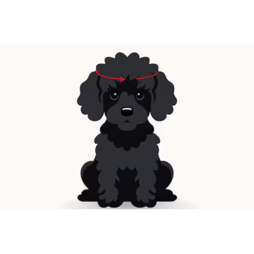 Панама джинсовая с принтом краски для собак Dogs Bomba S-56