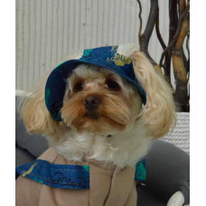 Панама джинсовая с принтом сердца для собак Dogs Bomba S-58