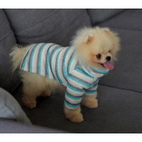 Гольф з люрексом смугастий блакитний для собак Dogs Bomba Y-300