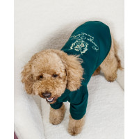 Толстовка Кураж з начосом смарагдова для собак Dogs Bomba Y-375
