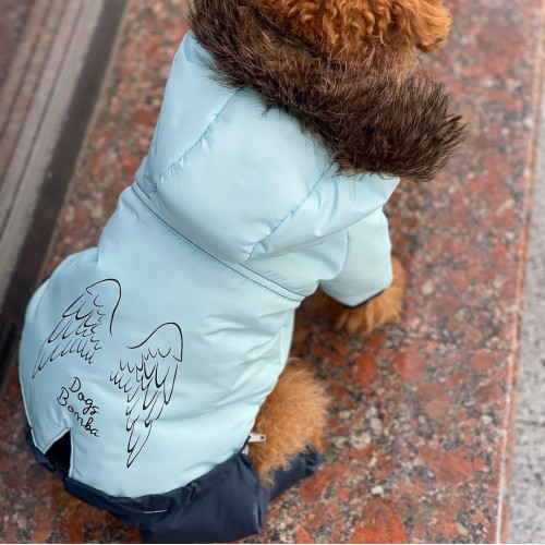 Зимний комбинезон для собак со съемными штанами голубого цвета CO-19