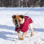 Жилет для собак на липучці бордового кольору GL-2  (осінь-зима)