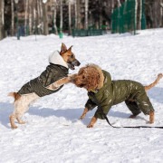 Жилет для собак Dogs Bomba GL-4 Хаки на липучке - фото 7