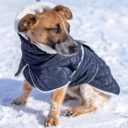 Жилет для собак Dogs Bomba GL-6 Синій на липучці - фото 5