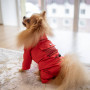 Водовідштовхувальний дощовик для собаки M-67 червоного кольору