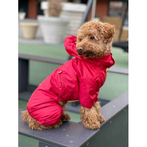 Дождевик для собак со скрытым капюшоном красного цвета M-79