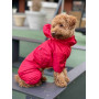 Дощовик для собак із прихованим капюшоном червоного кольору M-79