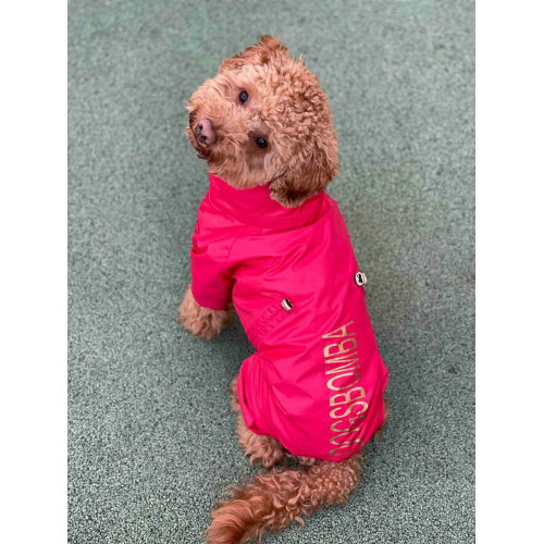 Дощовик для собак із прихованим капюшоном червоного кольору M-79