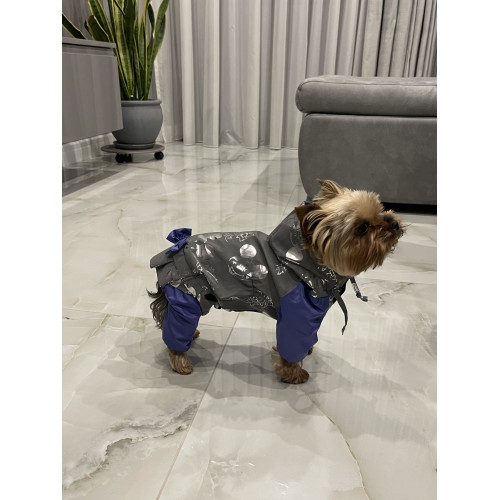 Дощовик для собаки дівчини з світловідбиваючої тканини Мiккi срiбло MD-9