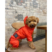 Комбінезон для собак Dogs Bomba R-22 Червоний з поясом - фото 3