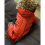 Комбінезон для собаки зима-осінь з поясом червоного кольору R-22