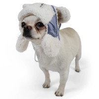 Шапка з вушками для собак блакитного кольору S-95