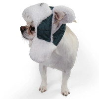 Шапка з вушками для собак смарагд S-96