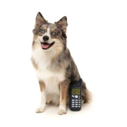 М'яка іграшка Nokidog (мобільний телефон) для собак FuzzYard - фото 2
