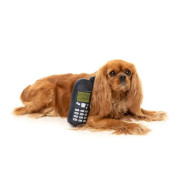 М'яка іграшка Nokidog (мобільний телефон) для собак FuzzYard - фото 3